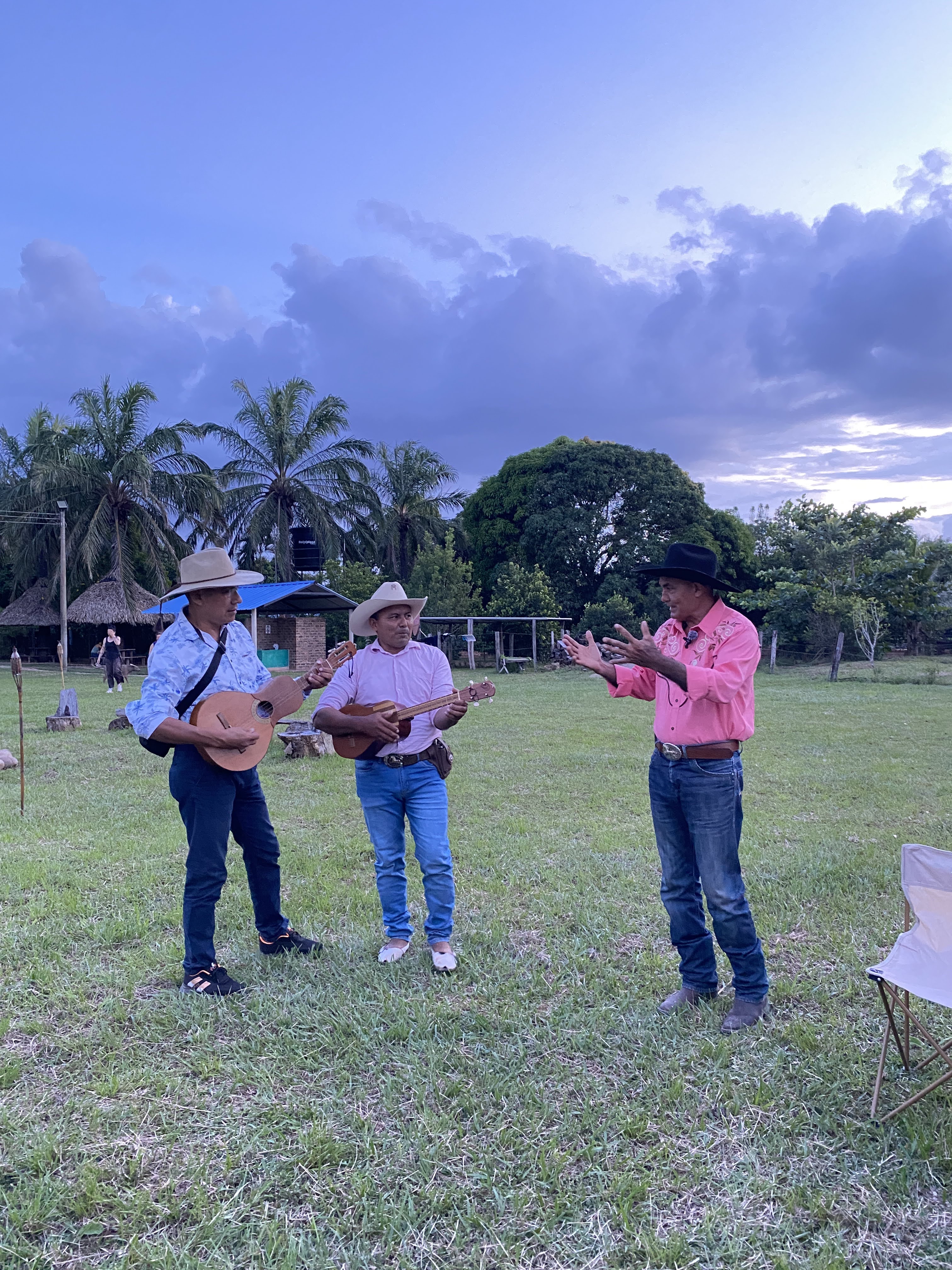Música y cultura llanera