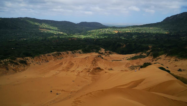 Paisaje Guajira 1